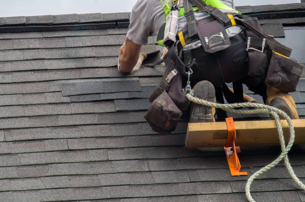 Best Storm Damage Roof Repair  in Ohkay Owingeh, NM